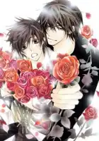  Лучшая в мире первая любовь смотреть онлайн аниме сериал 1-2 сезон 